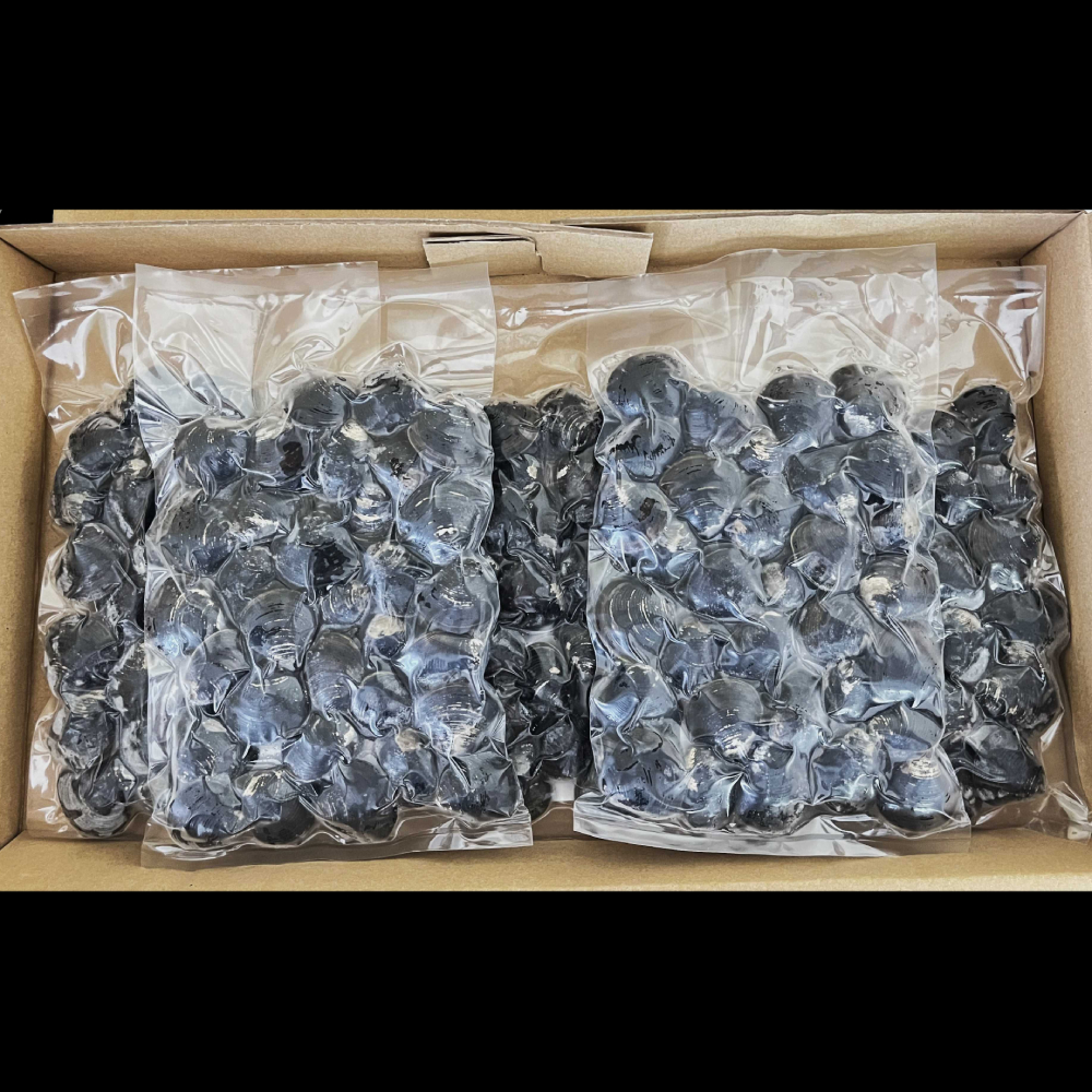 12-211 çŽå¥ç£ããã¿1kg