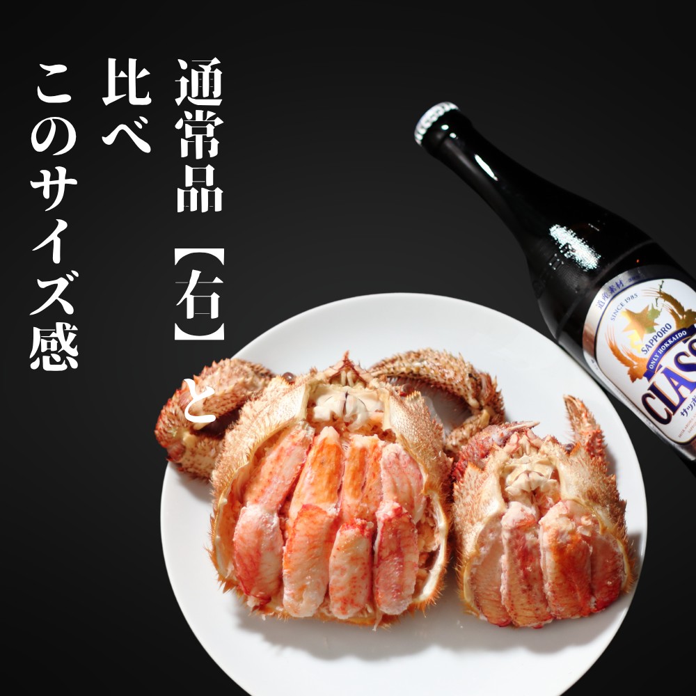 35-47 【年内発送12月15日入金まで】【紋別産】特大毛がに甲羅盛り ｜ 特大のタグ付き かに　かにみそ　無添加　山わさび　蟹酢付 within2025