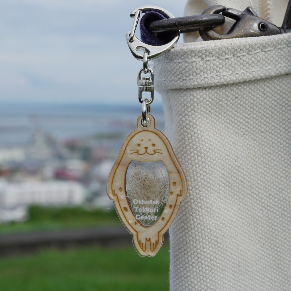 4-4 豈(繧ゅ≧)縺九o縺縺吶℃シ√く繝シ繝帙Ν繝繝シ