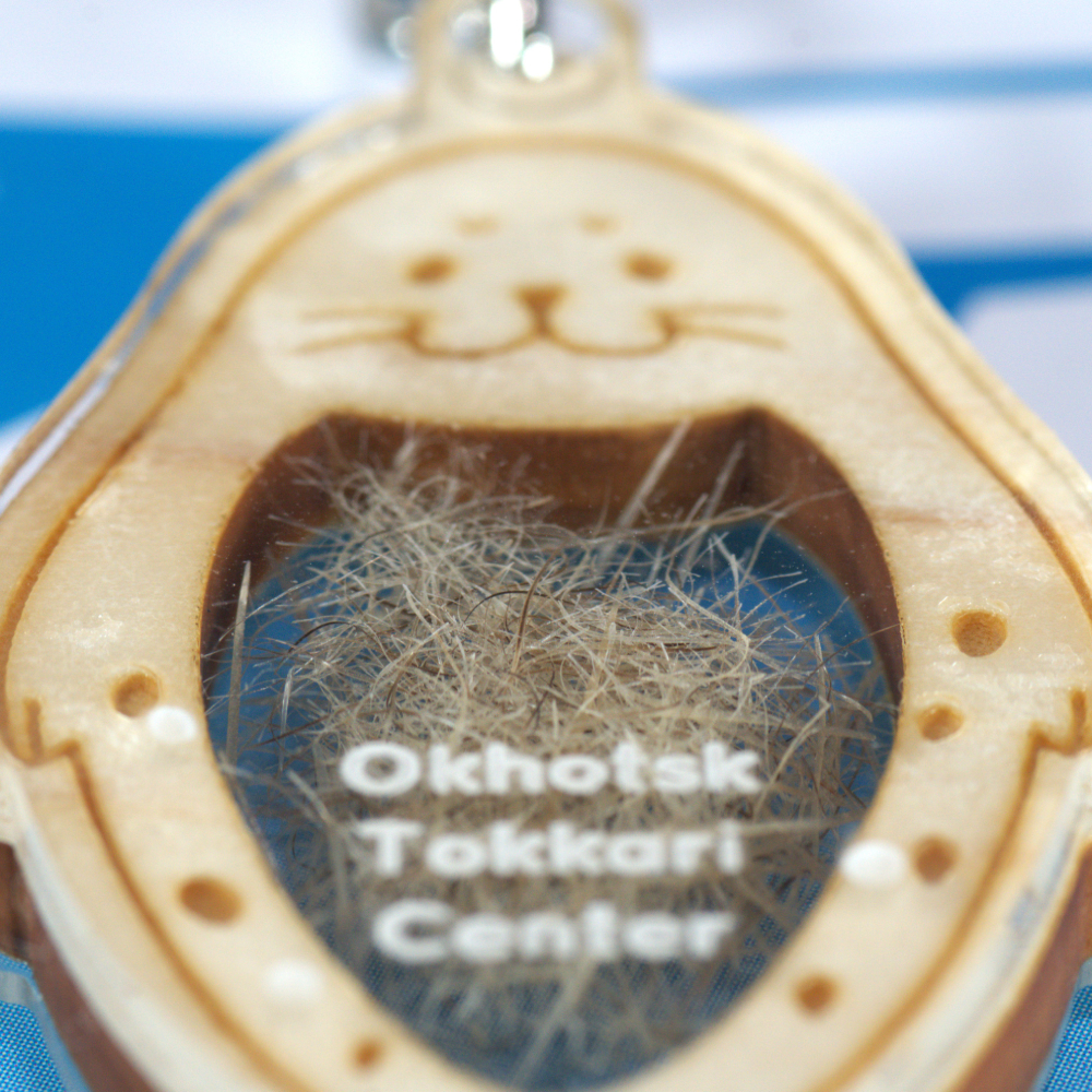 4-4 豈(繧ゅ≧)縺九o縺縺吶℃シ√く繝シ繝帙Ν繝繝シ