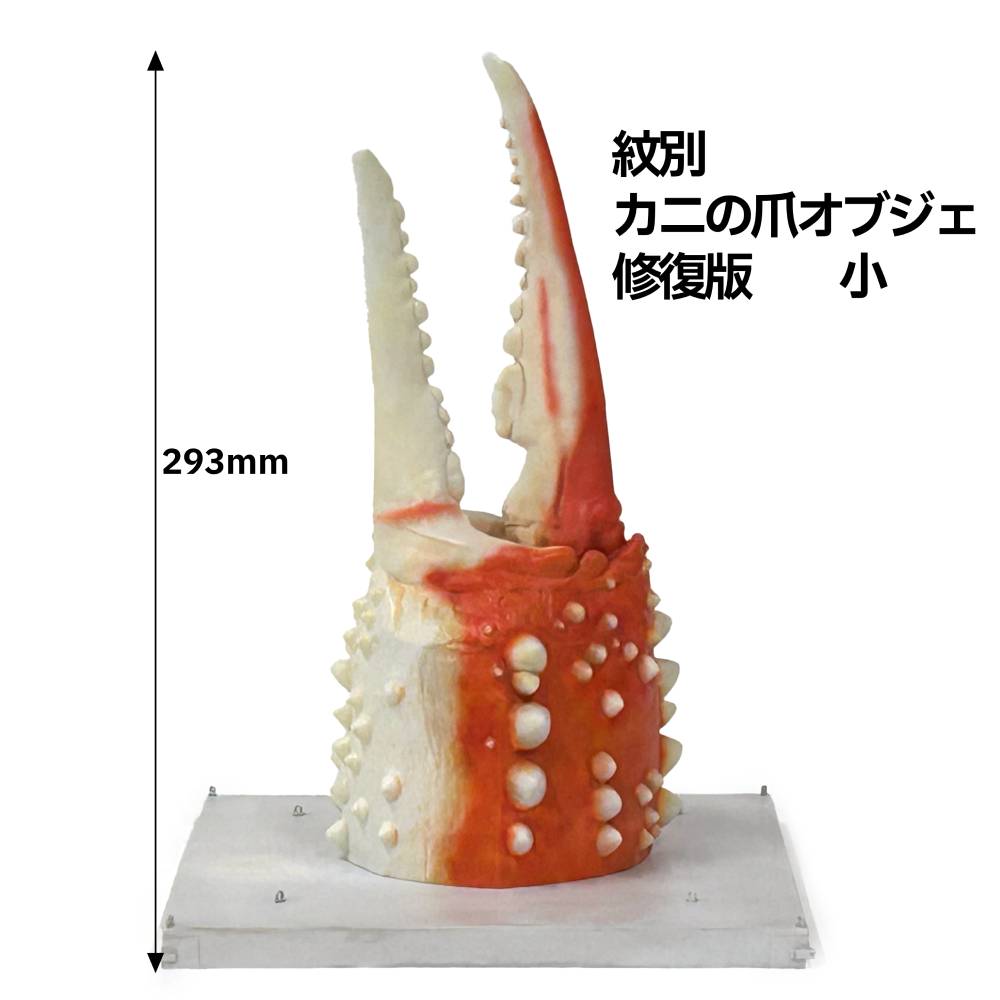 50-80 紋別 カニの爪オブジェ - 修復版, 小 -
