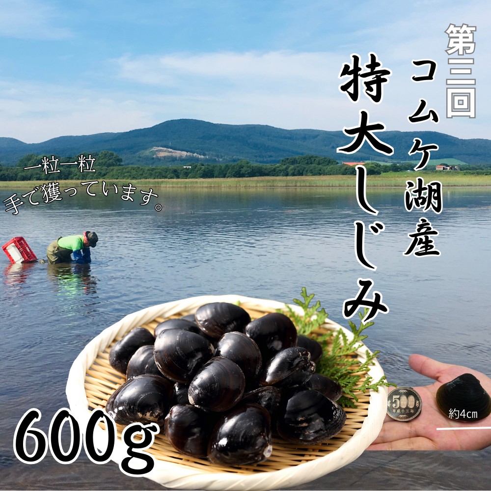100-90 【北海道】北の漁師のごちそう　定期便　12品　全4回【紋別漁師食堂謹製】｜ 帆立　ほたて　蟹　かに　お惣菜　グルメ　おとりよせ　炊き込みご飯　海鮮丼　しじみ　ずわいがに　いくら　お刺身　備蓄　お米によく合う