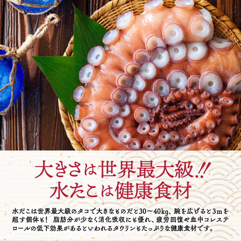 45-18 【年内発送12月15日入金まで】水だこ太足 小分け真空パック約3kg within2025