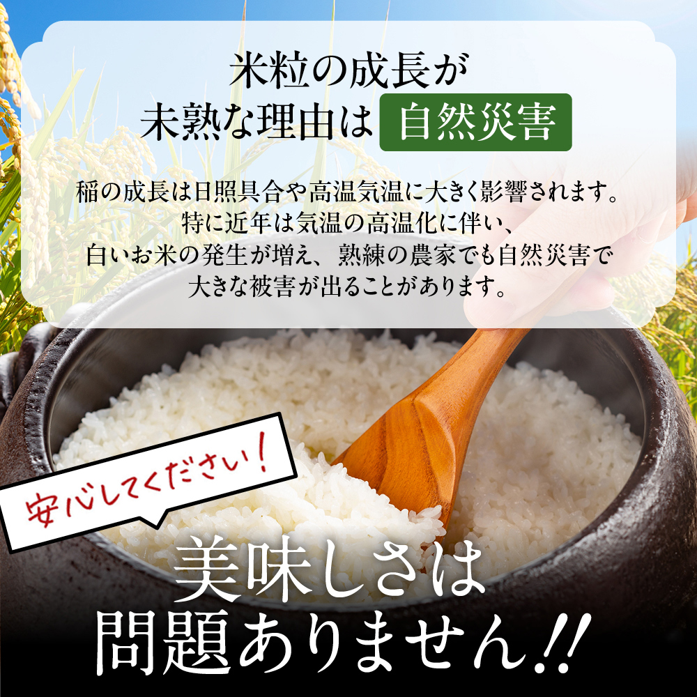 12-296 【年内発送12月15日入金まで】訳あり 北海道ブレンド米5kg within2025