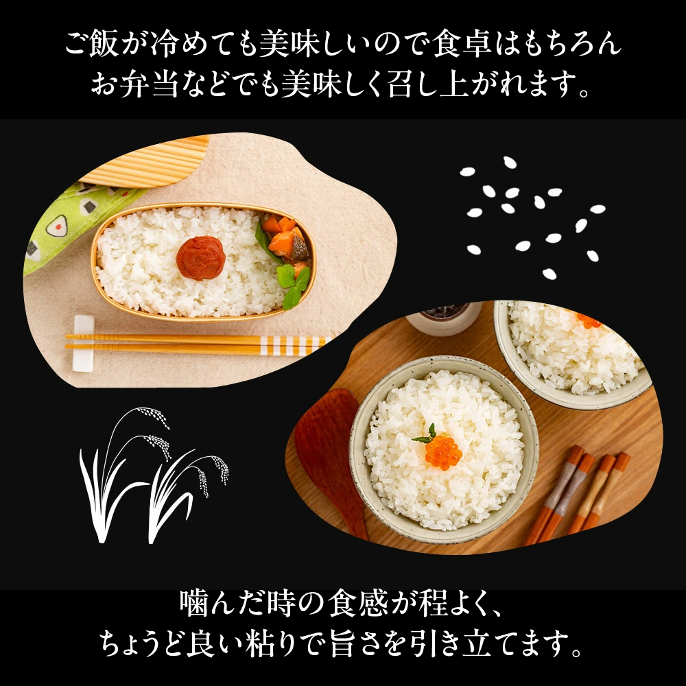 28-43 【年内発送12月15日入金まで】北海道産ゆめぴりか10kg(5kg×2) within2025