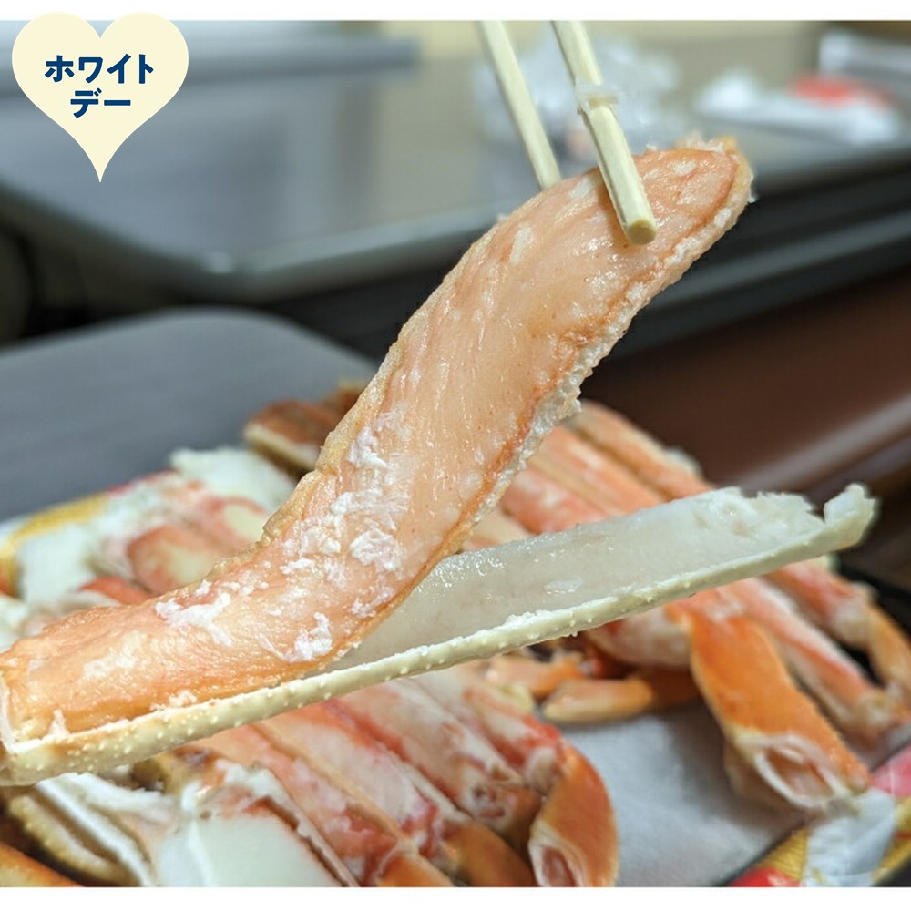 18-174 ããã¯ã€ãããŒããã€ã«æ¬ããããã«ããŒãããŒã·ã§ã³(ç·ééãçŽ900ïœååŸ)