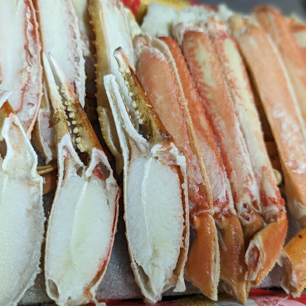 18-174 ããã¯ã€ãããŒããã€ã«æ¬ããããã«ããŒãããŒã·ã§ã³(ç·ééãçŽ900ïœååŸ)