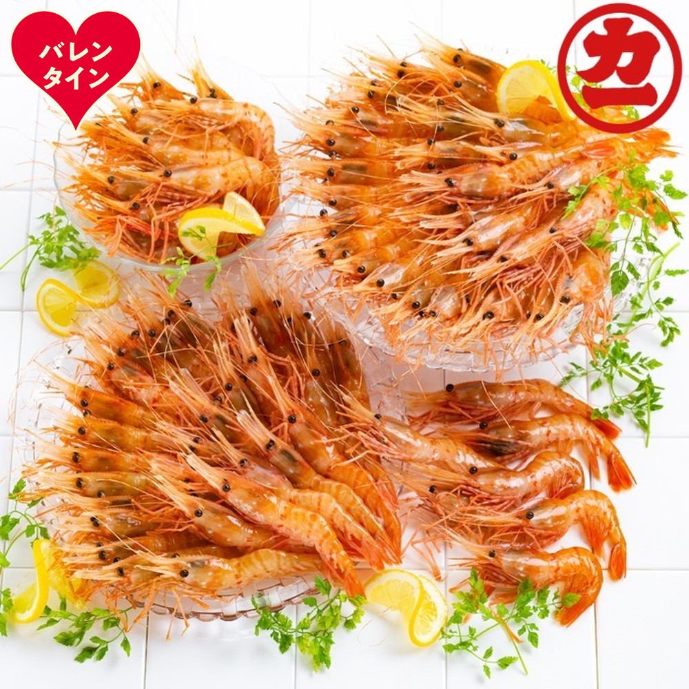 65-14 【バレンタインデー】どどーんと２kgぼたんえびセット