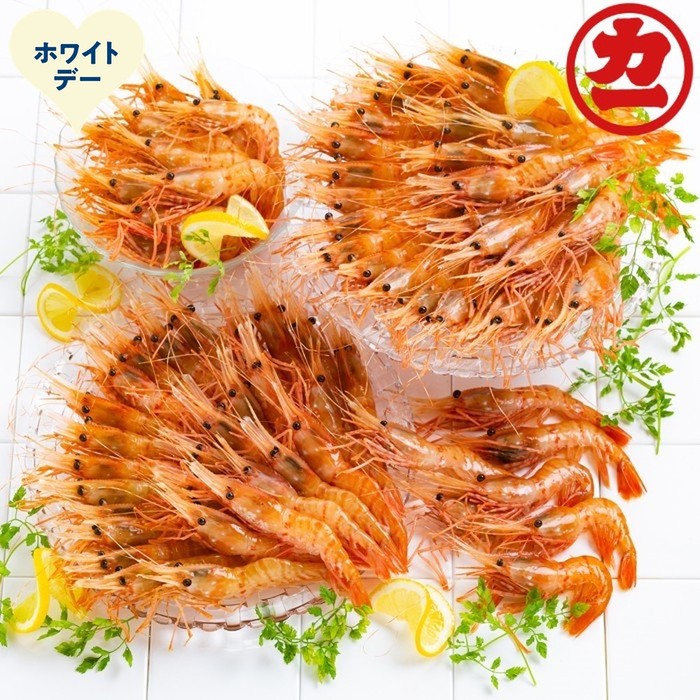 65-16 【ホワイトデー】どどーんと２kgぼたんえびセット