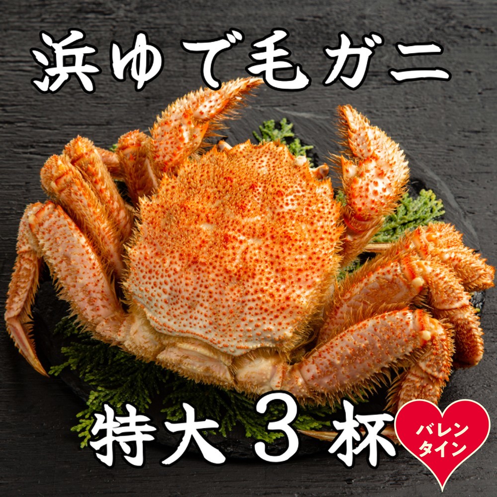 78-21 【バレンタインデー】流氷明け浜ゆで毛ガニ　特大3杯
