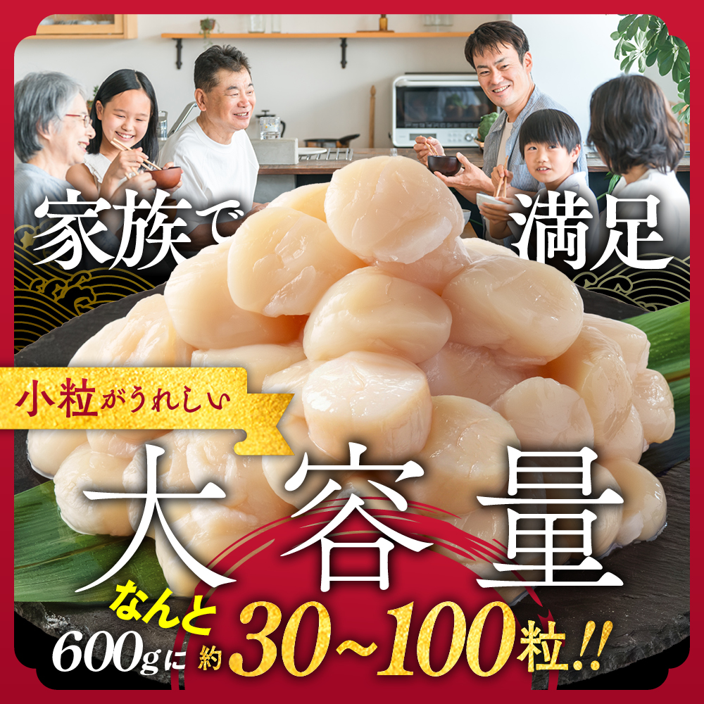 14-256 【訳あり】北海道オホーツク産ホタテ貝柱(生食用)小粒大入 600g ｜ サイズ不揃い ワケアリ 訳あり ほたて ホタテ 帆立 貝柱 玉冷