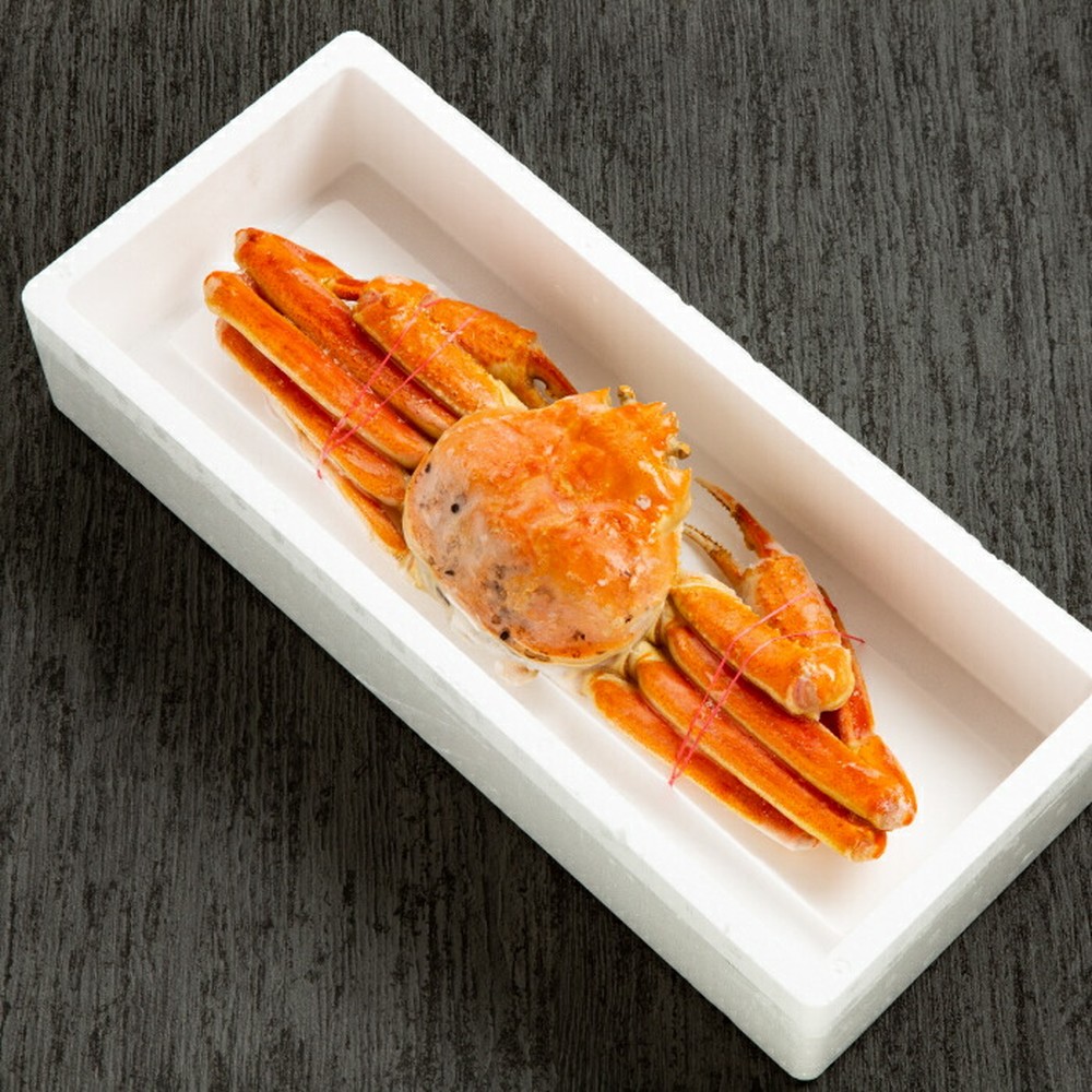 13-393 本ずわいがに姿 大型サイズ1杯 約600～800g