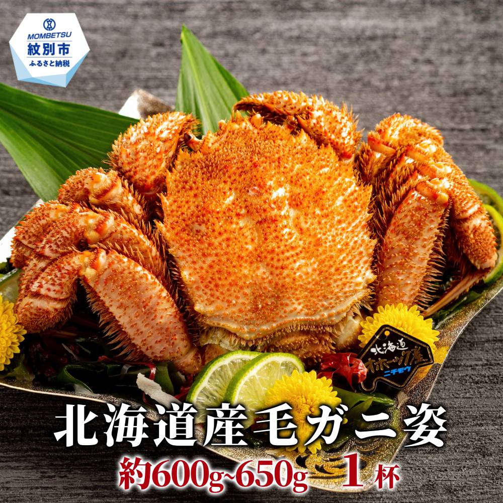 17-283 北海道産毛ガニ　約500～650g×1杯