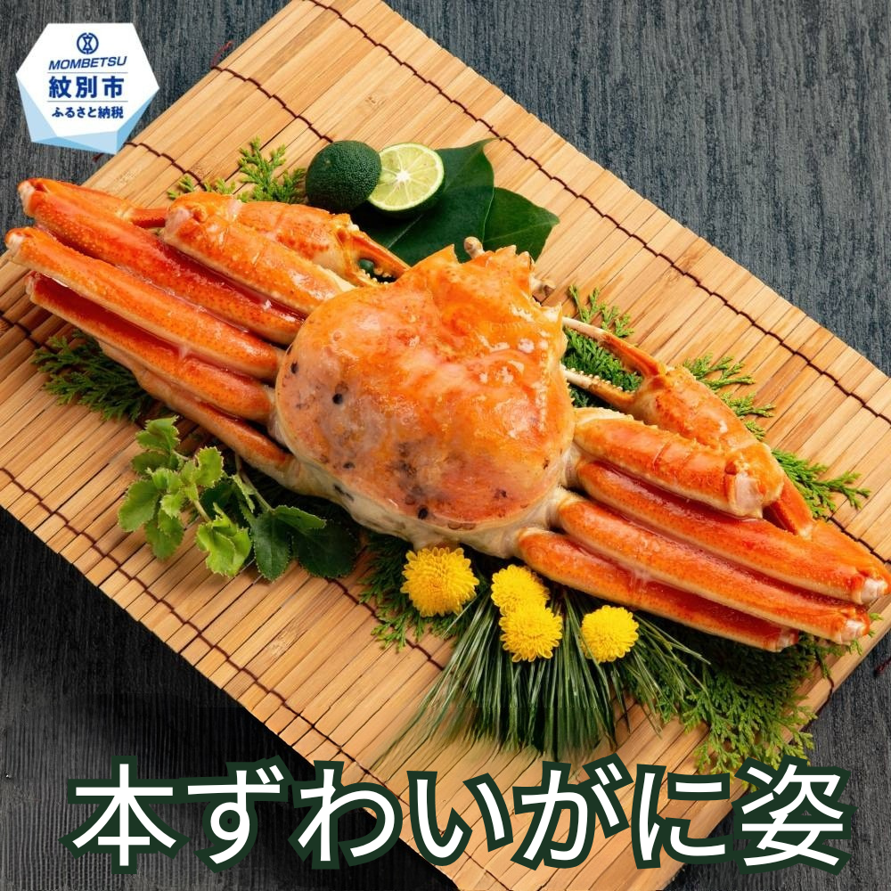 19-107 本ずわいがに姿 大型サイズ2杯 約600～800g