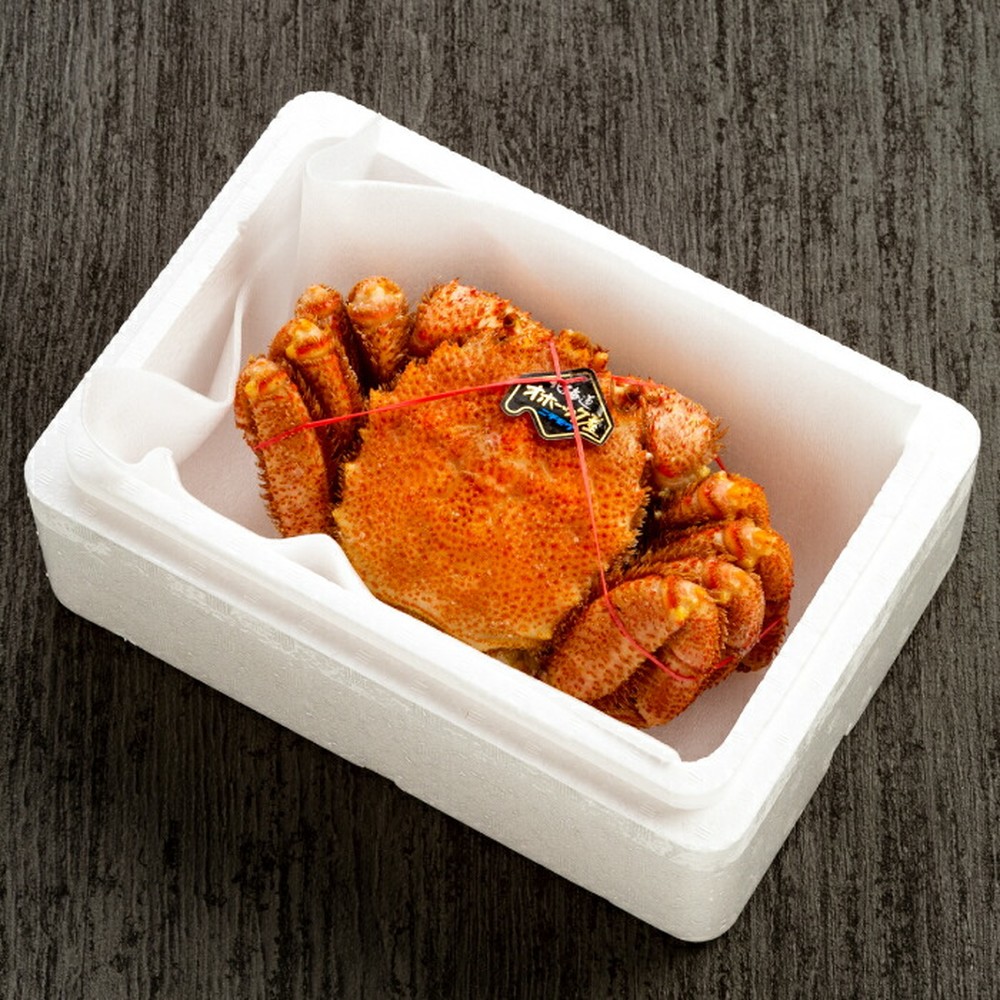 29-29 【超特大】北海道産毛ガニ　約1kg×1杯