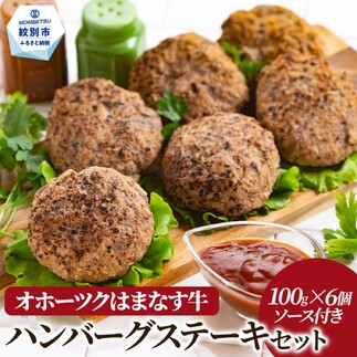 13-91 オホーツクはまなす牛ハンバーグステーキセット