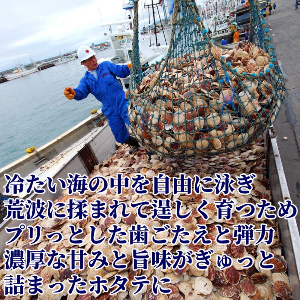 264-1 【定期便12か月】北海道オホーツク海産ホタテ玉冷バラエティサイズ(1kg)×12回｜ 訳あり サイズ不揃い