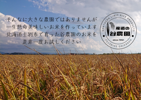 【産直の谷農園】※予約受付※ （定期便）産地直送米「ゆめぴりか」5kg×4ヵ月