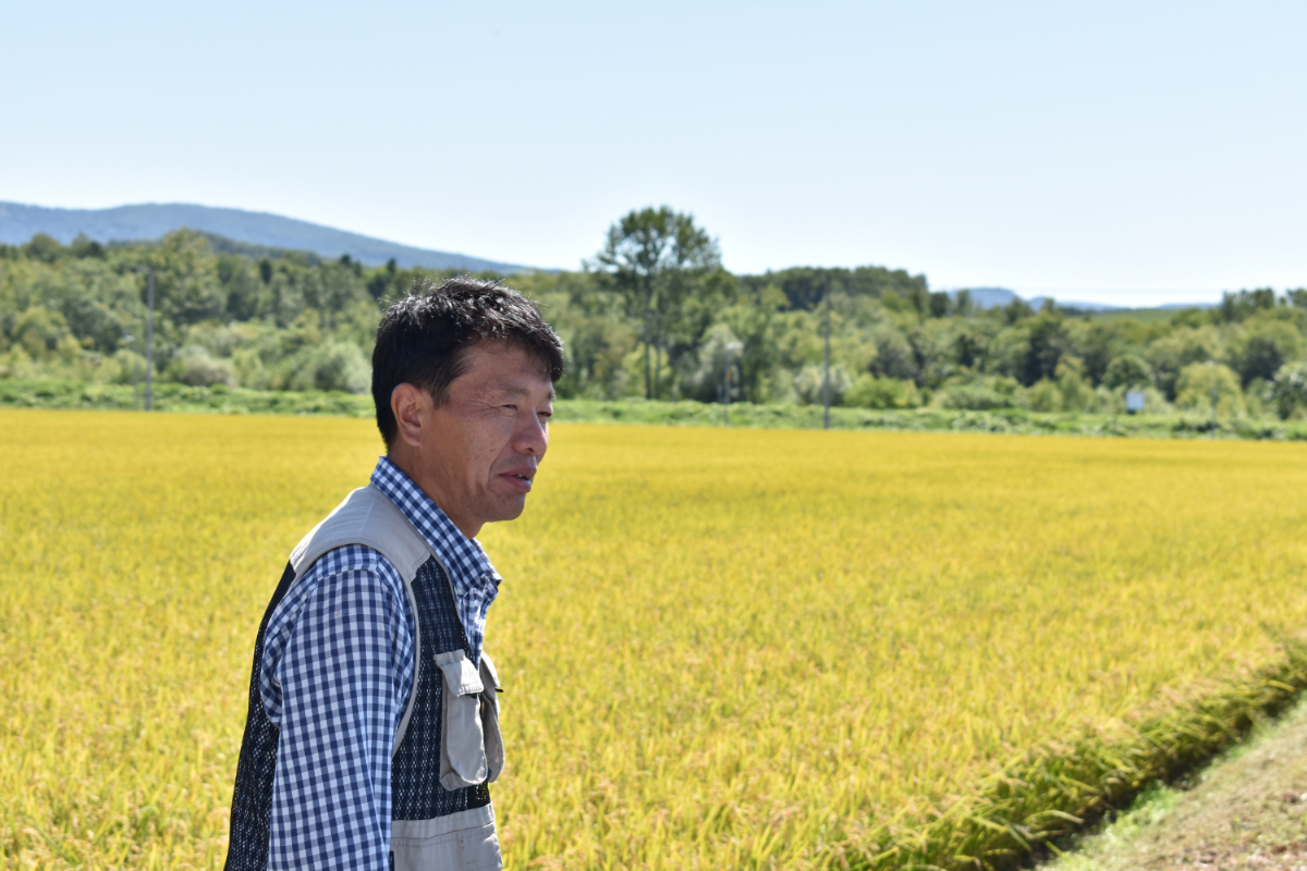 【北海道士別市】※令和５年産米※上士別の生産者がつくるゆめぴりか5㎏×4袋