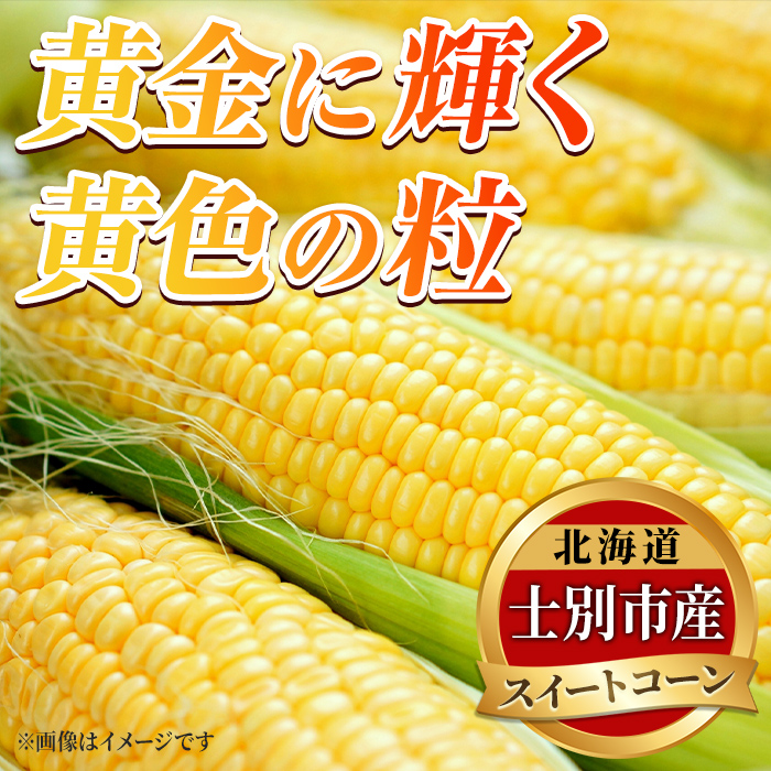 ＜期間限定＞天塩川源流スイートコーン ゴールドラッシュ (8本) 【2026年8月下旬より順次発送】北海道産 北海道 士別市 とうもろこし トウモロコシ とうきび コーン 野菜 産地直送 【三栄アグリ】【A7093】