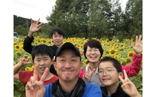 【A7081】＜特別栽培・期間限定＞北海道士別市産 朝採りグリーンアスパラ (M～2Lサイズ混合・500g) 【2026年5月以降順次発送】野菜 アスパラ アスパラガス グリーンアスパラ 北海道 北海道産 国産 旬 産地直送 【あったかふぁーむ】