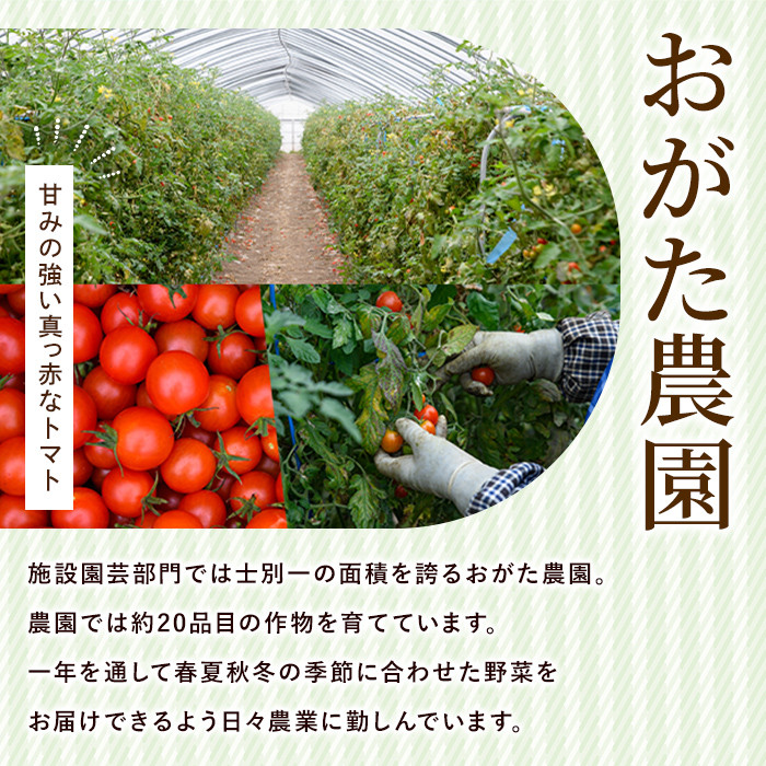 【B7039】《数量限定》＜おがた農園のミニトマトジュース＞ 陽の彩 ー ひのいろ ー (180ml×10本) トマト ミニトマト ジュース トマトジュース ミニトマトジュース 飲料 甘味 酸味 野菜 ギフト プレゼント【おがた農園】