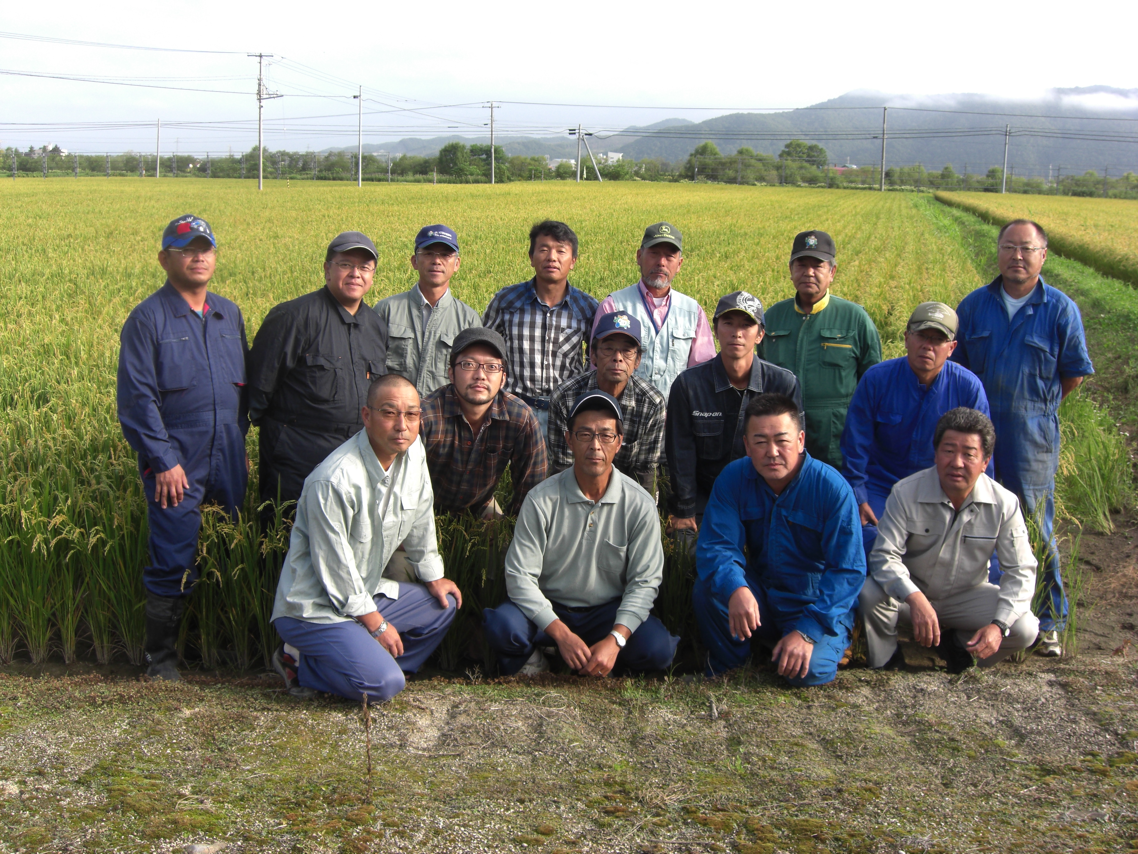 【北海道士別市】※令和6年産米※上士別の生産者がつくるゆめぴりか・ななつぼし食べ比べセット（5kg×各2袋）