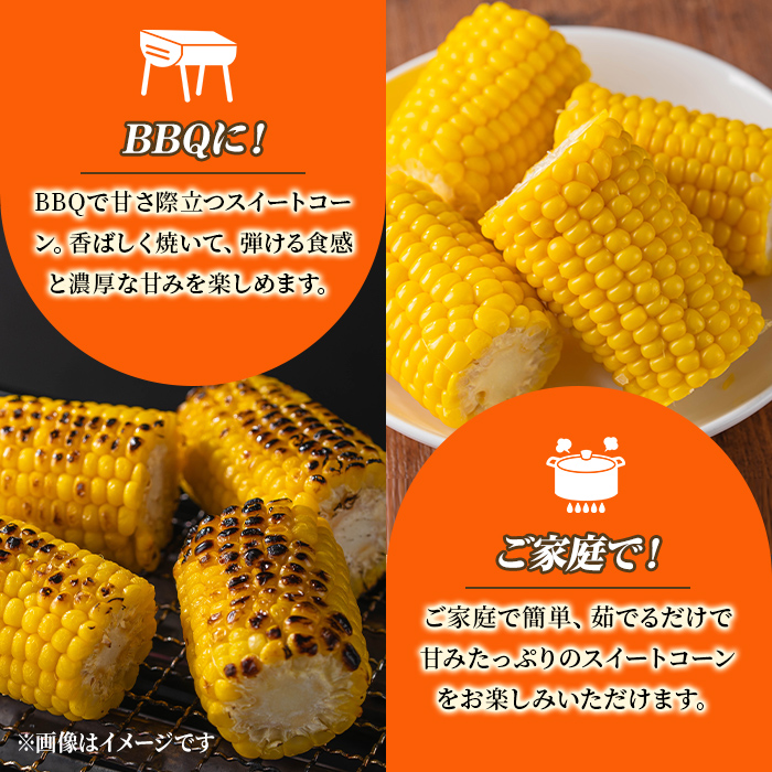 ＜期間限定＞天塩川源流スイートコーン ゴールドラッシュ (8本) 【2026年8月下旬より順次発送】北海道産 北海道 士別市 とうもろこし トウモロコシ とうきび コーン 野菜 産地直送 【三栄アグリ】【A7093】