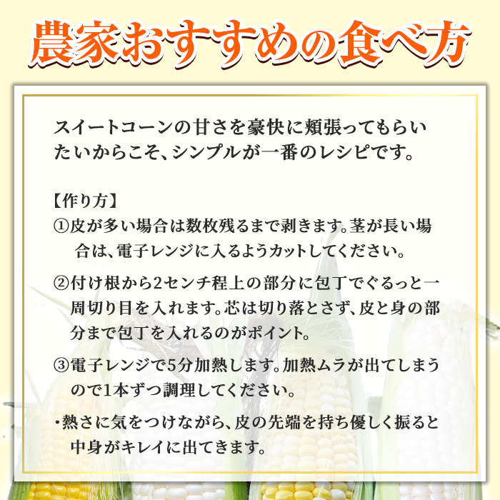 ＜期間限定＞天塩川源流スイートコーン ゴールドラッシュ (10本) 【2026年8月下旬より順次発送】北海道産 北海道 士別市 とうもろこし トウモロコシ とうきび コーン 野菜 産地直送 【三栄アグリ】【A7094】