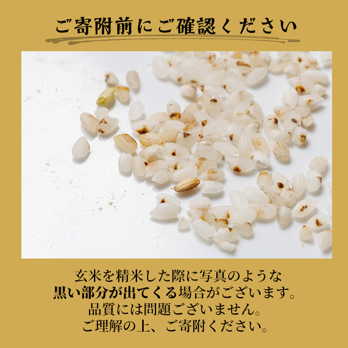 【B7137】上士別清流米 ゆめぴりか 玄米 (5kg) 米 お米 玄米 北海道米 ごはん ゆめぴりか 北海道産 士別産 5kg 【合同会社T&M】
