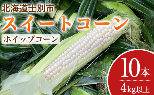 ＜期間限定＞天塩川源流スイートコーン ホイップコーン (10本)【2026年8月下旬より順次発送】北海道産 北海道 士別市 とうもろこし トウモロコシ とうきび コーン 野菜 産地直送 【三栄アグリ】【A7097】
