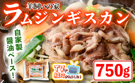 ＼テレビで紹介されました／ 羊飼いの家 特製 ラム ジンギスカン (750g×1袋) 羊 羊肉 ラム肉 冷凍 焼肉 ジンギスカン ラムジンギスカン 醤油ベース タレ 味付き BBQ バーベキュー 【羊と雲の丘観光】【A7027】