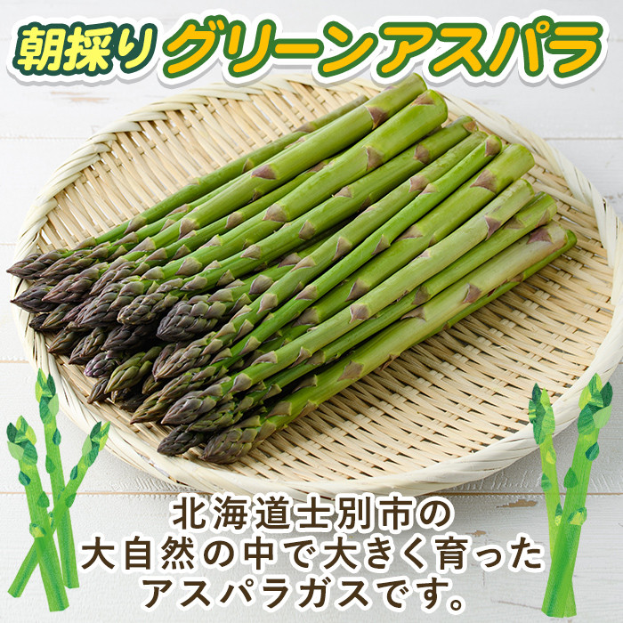 《先行予約受付中》《数量・期間限定》朝採り グリーンアスパラ(1kg・ M～2L混合)【2026年4月下旬以降発送予定】アスパラガス アスパラ 北海道産 野菜 朝採り 産地直送 新鮮野菜 【おがた農園】【B7076】