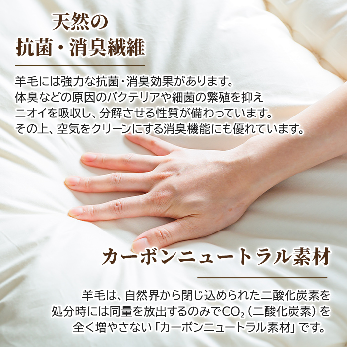 【E7064】＼羊毛100％／ピュアウール 掛布団 (シングル・1枚) 布団 ふとん シングル 寝具 掛ふとん 羊 ウール 睡眠 眠り 【寝具の井上】