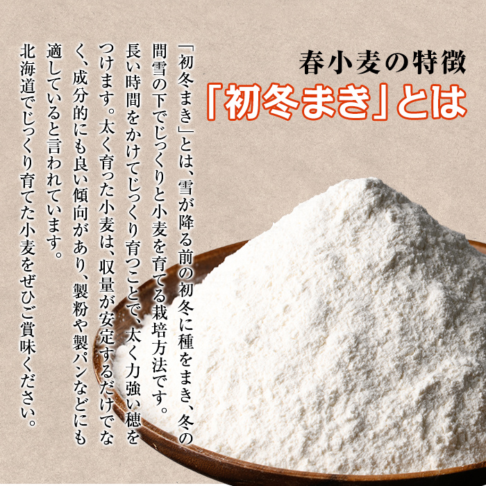 【B7028】＜北海道士別市産小麦＞ たよろの春よ恋 強力粉 ( 1kg×4袋・計4kg) 【2026年1月20日以降発送予定】小麦 小麦粉 強力粉 春よ恋 北海道産 士別市産 国産 国産小麦粉 パン お菓子 料理 1kg【たよろ春小麦の会】