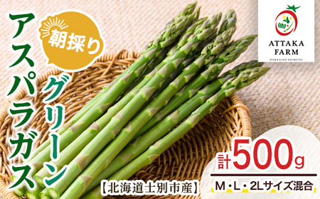 【A7081】＜特別栽培・期間限定＞北海道士別市産 朝採りグリーンアスパラ (M～2Lサイズ混合・500g) 【2026年5月以降順次発送】野菜 アスパラ アスパラガス グリーンアスパラ 北海道 北海道産 国産 旬 産地直送 【あったかふぁーむ】