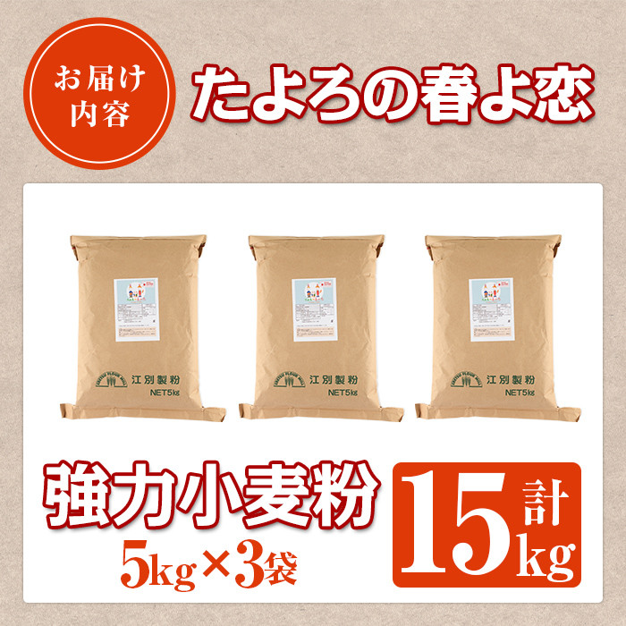 縲燭7023縲托シ懷圏豬キ驕灘」ォ蛻・蟶ら肇蟆城コヲシ 縺溘h繧阪ョ譏・繧域° 蠑キ蜉帷イ ( 5kgテ3陲九サ險15kg)縲2026蟷エ1譛20譌・莉・髯咲匱騾∽コ亥ョ壹 蟆城コヲ 蟆城コヲ邊 蠑キ蜉帷イ 譏・繧域° 蛹玲オキ驕鍋肇 螢ォ蛻・蟶ら肇 蝗ス逕」 蝗ス逕」蟆城コヲ邊 繝代Φ 縺願藷蟄 譁咏炊 5kg 15kg縲舌◆繧医m譏・蟆城コヲ縺ョ莨壹