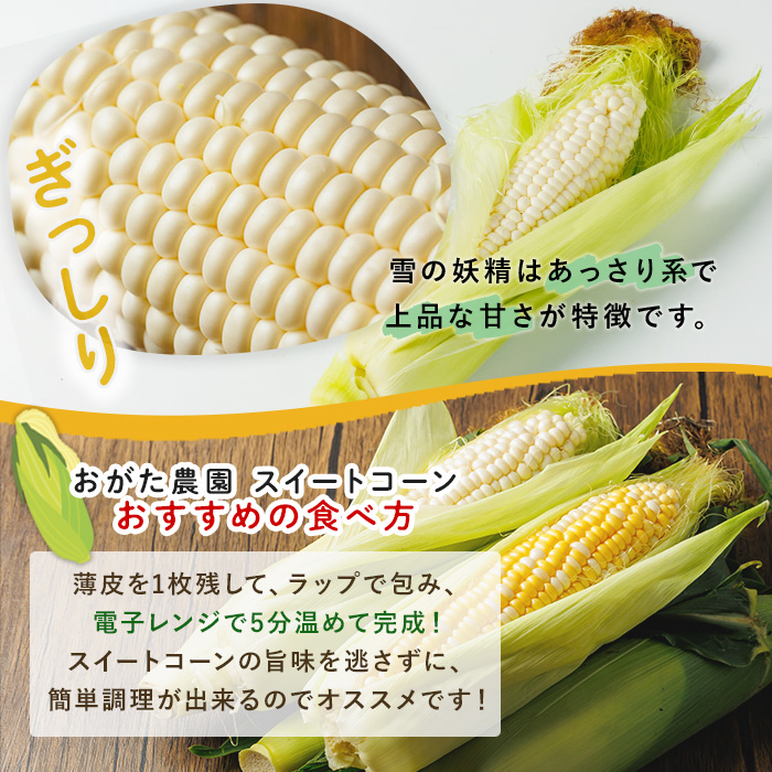 ãã¯ã€ãã¹ã€ãŒãã³ãŒã³ éªã®åŠç²Ÿ (10æ¬)ã2026幎7æäžæ¬ä»¥éçºéäºå®ã åæµ·éç£ åæµ·é 士å¥åž ãšããããã ã¹ã€ãŒãã³ãŒã³ ãšããã³ éè ç£å°çŽé æ°é®®éè ãããã蟲åããA7146ã
