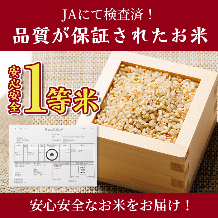 【D7097】上士別清流米 ななつぼし 玄米 (15kg) 米 お米 玄米 北海道米 ごはん ななつぼし 北海道産 士別産 15kg  【合同会社T&M】