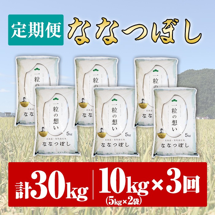 【令和7年産】《 定期便・全3回 》上士別の生産者がつくるななつぼし ( 10kg×3回・計30kg) 北海道 士別市産 米 お米 白米 北海道産 北海道米 ななつぼし 特A 一等級 コメ 単一原料米 定期便 10kg 30kg【天塩の恵み上士別】【E7086】
