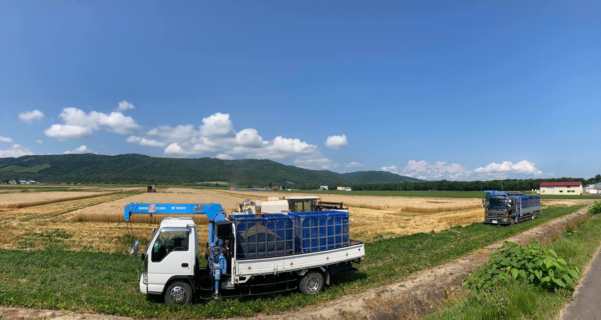 【A6002】北海道士別市たよろ産「春よ恋」100％生ラーメン (6食) 拉麺 麺 小麦麺 生麺 醤油ラーメン 醤油味 冷凍 【合同会社人考研】