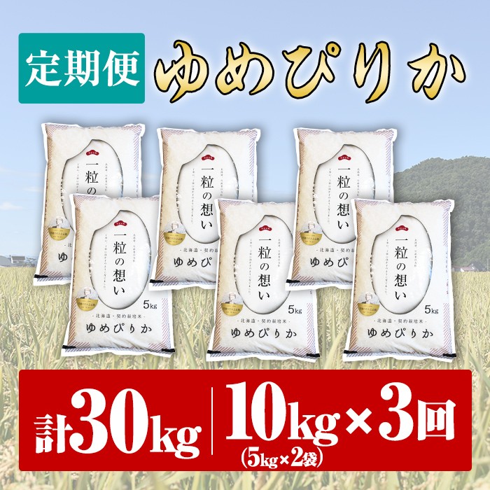 【令和7年産】《 定期便・全3回 》上士別の生産者がつくるゆめぴりか ( 10kg×3回・計30kg) 北海道 士別市産 米 お米 白米 北海道産 北海道米 ゆめぴりか 特A 一等級 コメ 単一原料米 定期便 10kg 30kg【天塩の恵み上士別】【E7084】