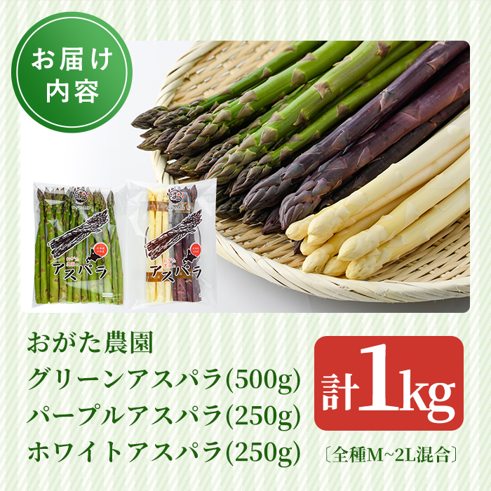 《数量・期間限定》朝採り アスパラ3色セット(1kg)【2026年4月下旬以降発送予定】 アスパラガス アスパラ ホワイトアスパラ グリーンアスパラ パープルアスパラ 紫アスパラ 北海道産 野菜 朝採り 産地直送 新鮮野菜 【おがた農園】【B7152】
