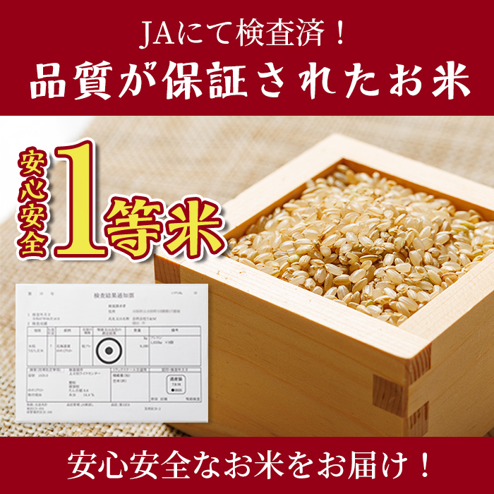 ãC7081ãäžå£«å¥æž
æµç±³ ãããŽãã çç±³ (10kg) ç±³ ãç±³ çç±³ åæµ·éç±³ ãã¯ã ãããŽãã åæµ·éç£ å£«å¥ç£ 10kg ãååäŒç€ŸT&Mã