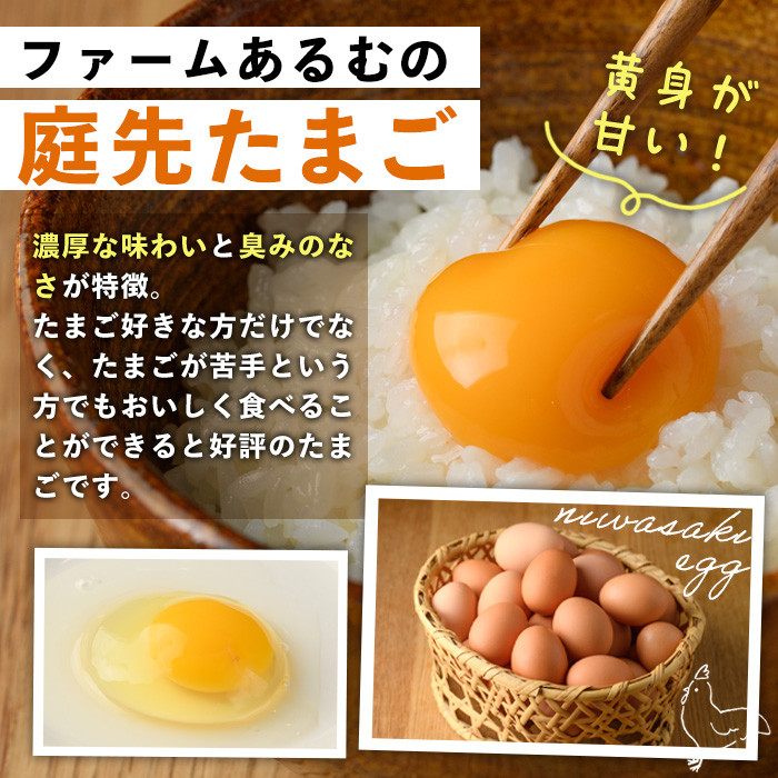 昔ながらの庭先たまご(20個・サイズ混合) 卵 玉子 たまご 平飼い 20個 濃厚 うまみ 卵かけご飯 目玉焼き 卵焼き ごはん おかず 【ファームあるむ】【A7152】