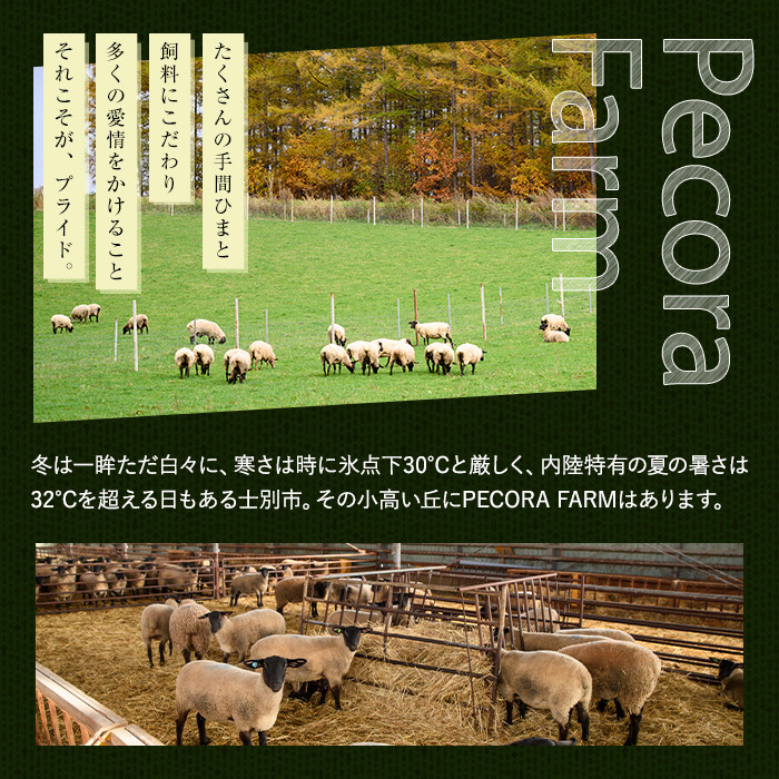 ãC7070ãåæµ·é士å¥ç£ãµãã©ãŒã¯ãã²ãããžã³ã®ã¹ã«ã³(200gÃ3P) å³ä»ã çŸ çŸè å³ä»ã å·å çŒè ãžã³ã®ã¹ã«ã³ BBQ ããŒããã¥ãŒ ããã³ã©ãã¡ãŒã ã