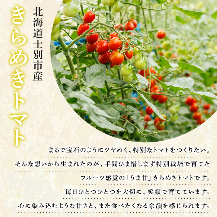 【B7123】＜特別栽培＞北海道士別市産 きらめきトマト Lサイズ (2.7kg) 【2026年7月以降順次発送】 野菜 とまと トマト 新鮮 産地直送 甘い 完熟 リコピン 北海道 北海道産 国産 旬 【あったかふぁーむ】