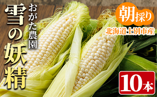 ホワイトスイートコーン 雪の妖精 (10本)【2026年7月下旬以降発送予定】 北海道産 北海道 士別市 とうもろこし スイートコーン とうきび 野菜 産地直送 新鮮野菜 【おがた農園】【A7146】