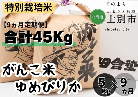 【北海道士別市】（9ヵ月定期便）田舎塾特別栽培米 「がんこ米ゆめぴりか」5kg×9ヵ月