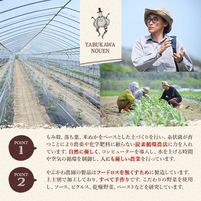 【B7086】やさいサーカス4種セット(トマトソース、油淋鶏ソース：120g・にんにくの芽ピクルス：60g・サラダピクルス：90g) トマト トマトソース ソース ニンニク にんにく ニンニクの芽 調味料 料理 パスタ ピザ チキンソース ピクルス おつまみ おかず 【やぶかわ農園】